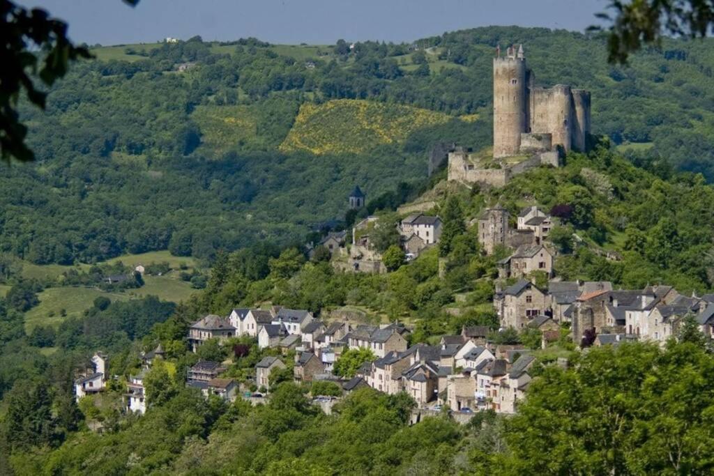 T 2 Dans Village Vacances 3 *** A Saint Geniez 2 Piscines Chauffee Pierrefiche  ภายนอก รูปภาพ